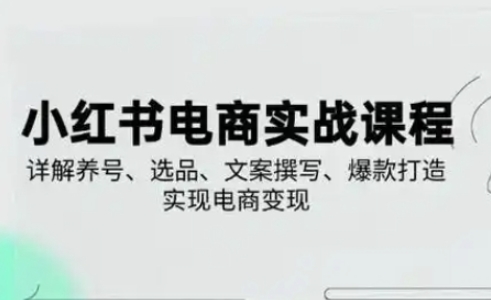 小红书从0-1实操课(2023-2025)，详解养号、选品、文案撰写、爆款打造实现电商变现-细水创业邦