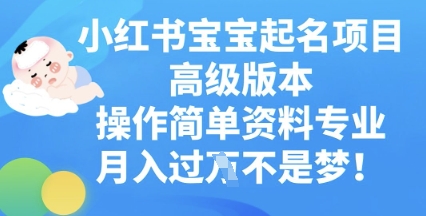 小红书宝宝起名项目高级版本,操作简单,资料专业,月入过W-细水创业邦