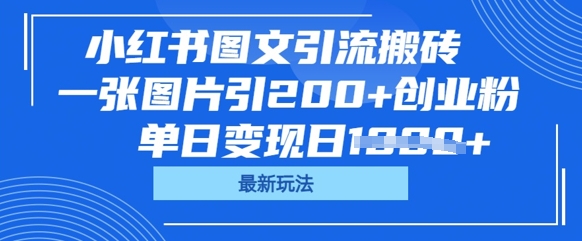 小红书图文引流搬砖,一张图片引200+创业粉,单日变现日数张-细水创业邦
