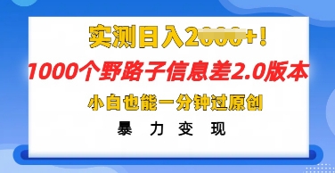 2025抖音1000个野路子信息差最新玩法,一分钟过原创,暴力变现月入几k-细水创业邦