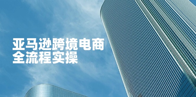 （14252期）亚马逊跨境电商全流程实操，教你从零开始，掌握店铺运营与广告技巧-细水创业邦