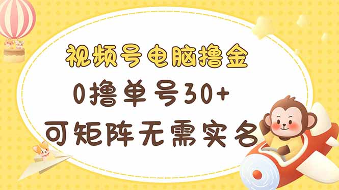 （14220期）视频号电脑撸金 0撸单号30+ 可矩阵 无需实名多号多得-细水创业邦