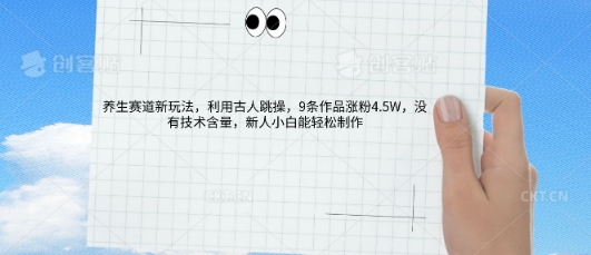 AI养生赛道新玩法,10条作品涨粉5.2W,操作简单,新人小白能轻松制作-细水创业邦