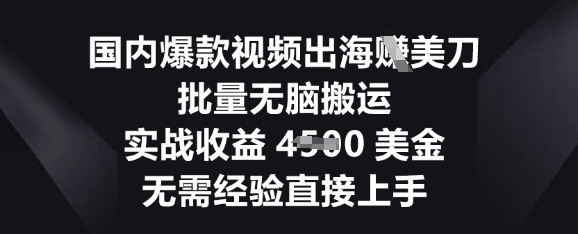 国内爆款视频出海挣美刀，批量无脑搬运，实战收益4.5k，无需经验直接上手-细水创业邦