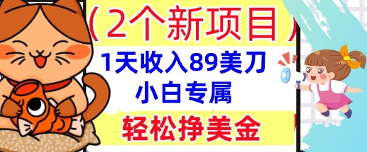 2个新项目,轻松挣美金, 1天收入89美刀,小白专属,干货分享-细水创业邦