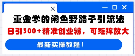 重金学的闲鱼野路子引流法,日引300+精准创业粉,可矩阵放大-细水创业邦