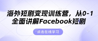 海外短剧变现训练营,从0-1全面讲解Facebook短剧-细水创业邦