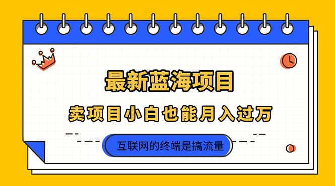 （14289期）2025年最新蓝海项目，卖项目小白也能月入过万-细水创业邦