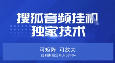 【搜狐音频挂G】独家技术，可矩阵可放大，红利期稳定月入8k【揭秘】-细水创业邦