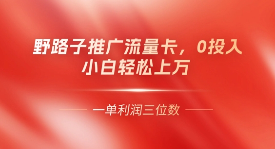 0门槛推广流量卡，一单收益上百，0投入，小白月入过W-细水创业邦