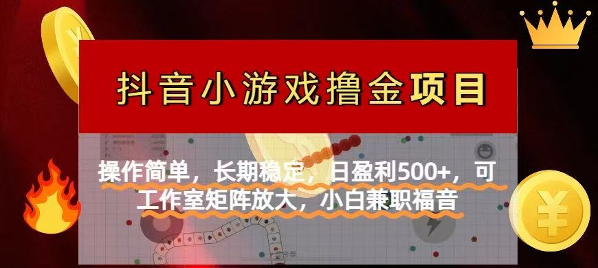 (14290期)【抖音小游戏发行人计划项目】操作简单,长期稳定,日盈利500+,可工作...-细水创业邦