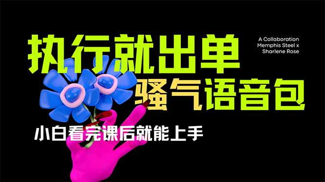 (14170期)爆火全网的开车导航骚气语音包,只要执行就出单,小白看完课程就能实操...-细水创业邦