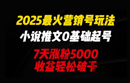 2025最火营销号玩法：小说推文0基础起号，7天涨粉5000，收益轻松破k-细水创业邦