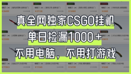 真全网独家CSGO挂G，单日捡漏1k+【揭秘】-细水创业邦