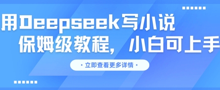用Deepseek写小说,保姆级教程,小白可实操-细水创业邦
