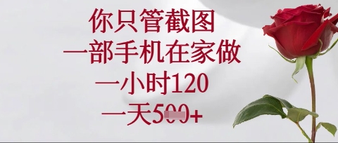 你只管截图,一部手机在家操作,一小时120.一天5张【揭秘】-细水创业邦
