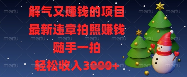 解气又挣钱的项目，最新违章拍照挣钱，随手一拍，轻松收入数张【揭秘】-细水创业邦